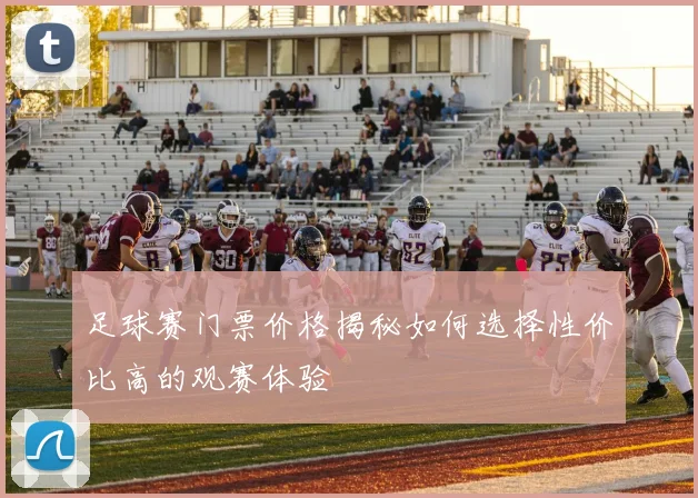 足球赛门票价格揭秘如何选择性价比高的观赛体验