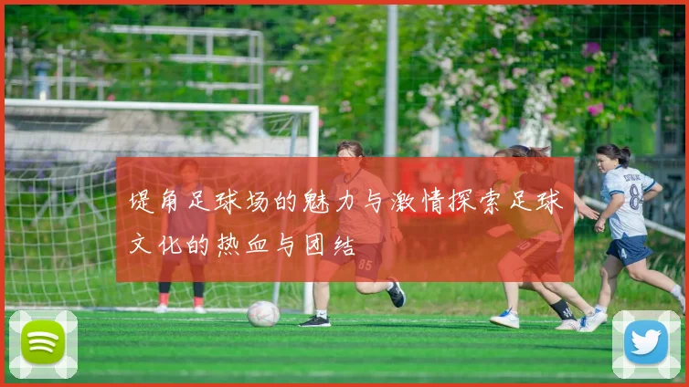 堤角足球场的魅力与激情探索足球文化的热血与团结
