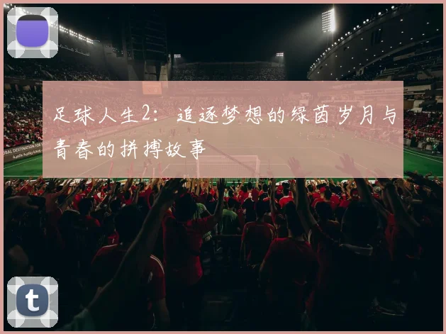 足球人生2：追逐梦想的绿茵岁月与青春的拼搏故事