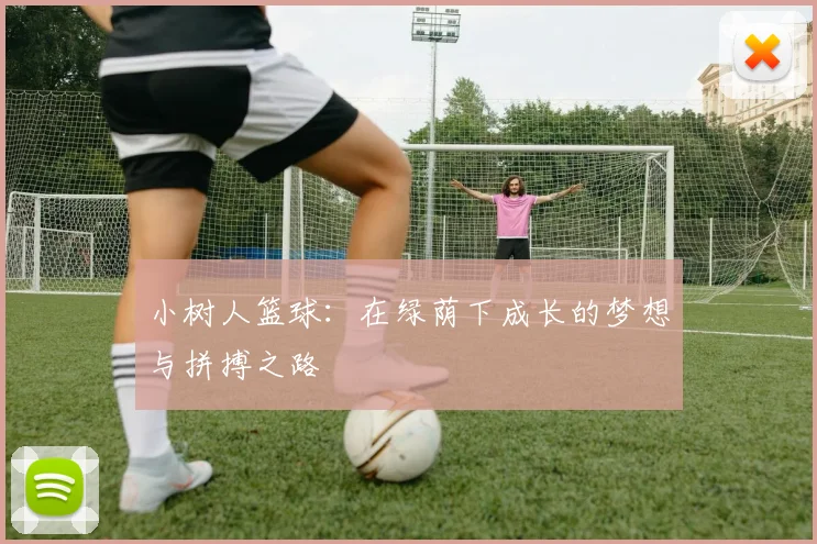 小树人篮球：在绿荫下成长的梦想与拼搏之路