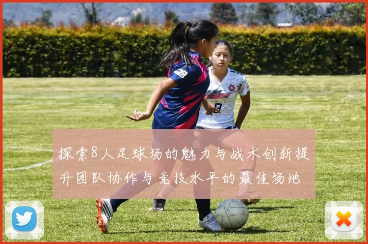 探索8人足球场的魅力与战术创新提升团队协作与竞技水平的最佳场地选择