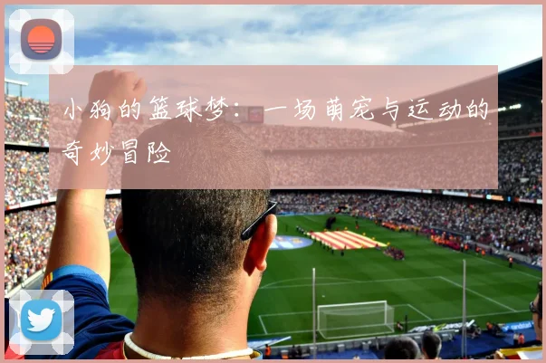 小狗的篮球梦：一场萌宠与运动的奇妙冒险