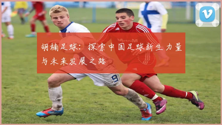 胡楠足球：探索中国足球新生力量与未来发展之路